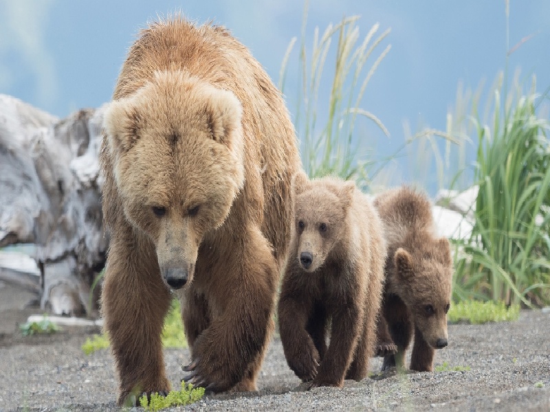 在试管里倒入,试管腹水多久好转